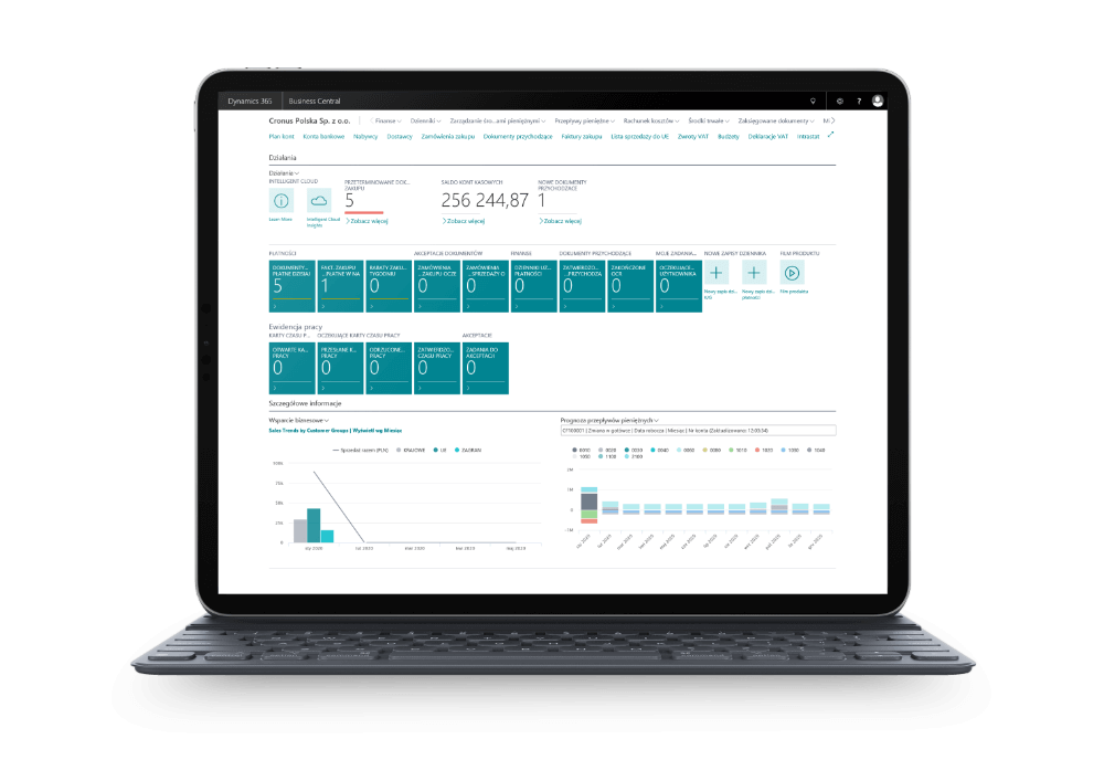 Interface of ERP system Microsoft Dynamics 365 Business Central